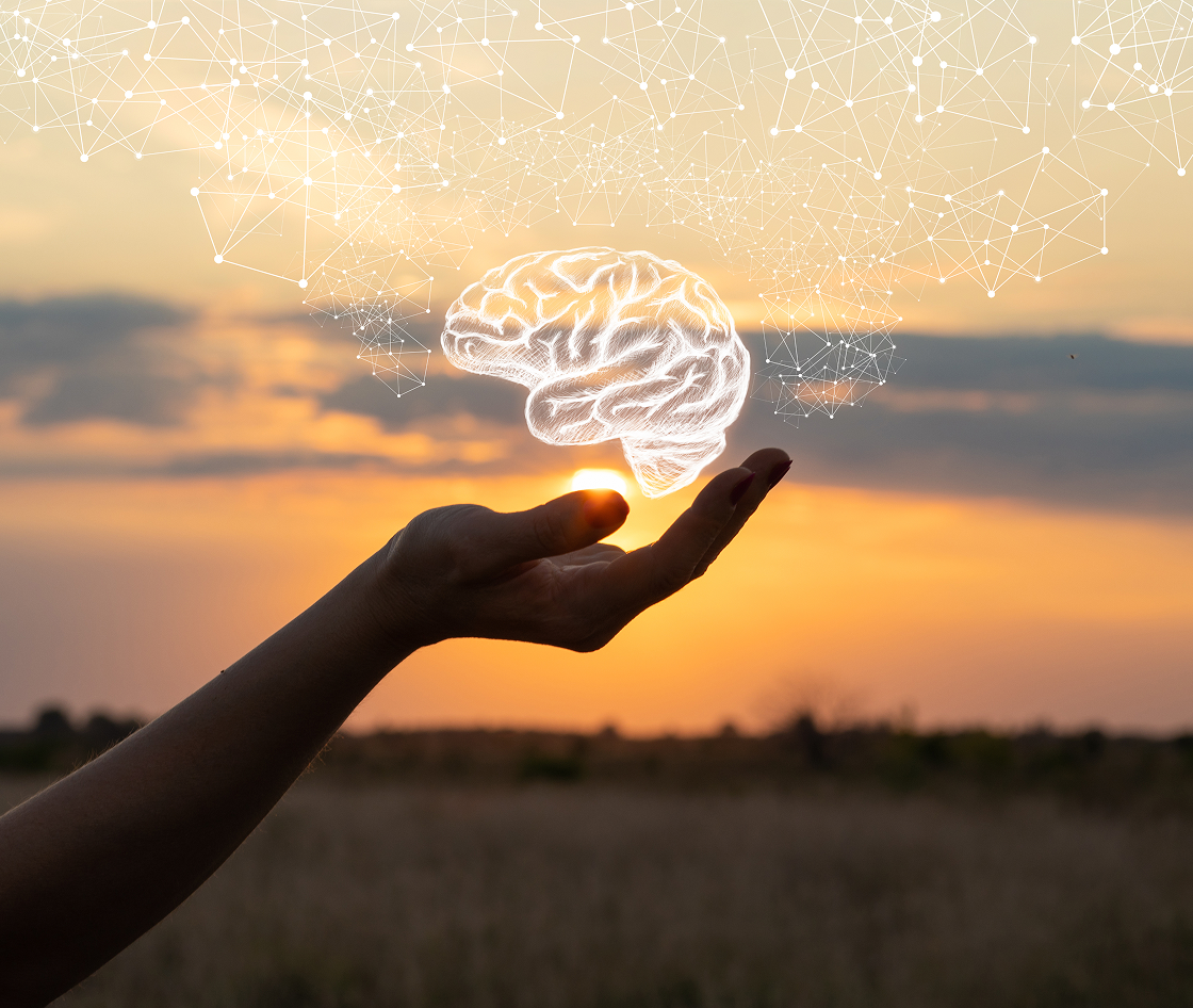 Hand holding digital brain at sunset.
